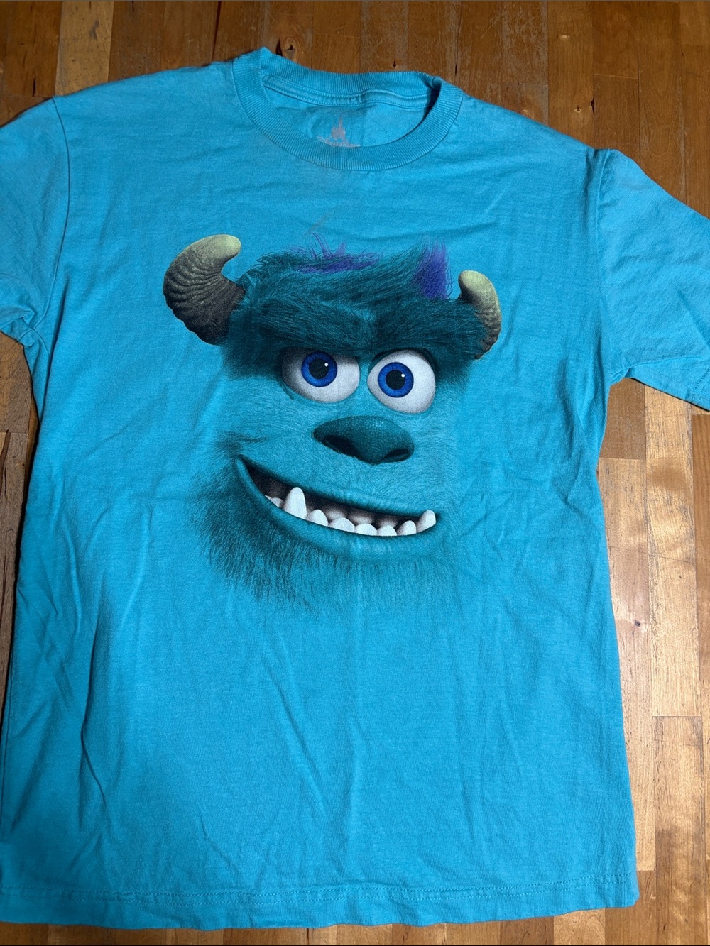 Disney Parks Sully Face Graphic Tee